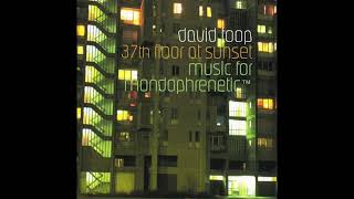 David Toop – 37th Floor At Sunset (Music For Mondophrenetic™)