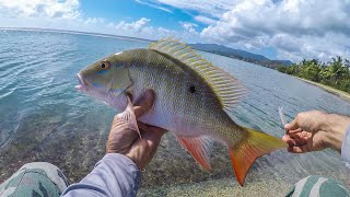 Mutton snapper | Penn Clash 4000