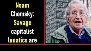 Noam Chomsky: Savage capitalist lunatics are running the asylum