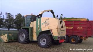 Landbouwhaspengouw - Krone Big X650 & XDisc 6200 rogge hakselen (Vanvinckenroye)