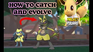 How to Catch RIOLU AND LUCARIO Pokemon Project Polaro (REALLY EASY)