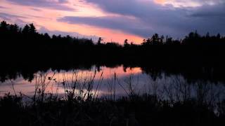 Spring evening symphony at a Minnesota pond