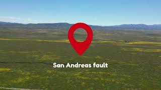 Carrizo Plain California super bloom 2023