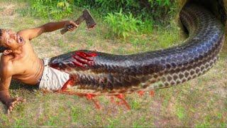 Primitive technology - Easy Snake Trap Using Plant Catch Big Snake in Hole #snaketrap