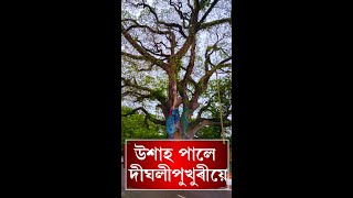 অৱশেষত উশাহ পালে দীঘলীপুখুৰীয়ে