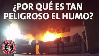 ¿Por ques es tan peligroso el humo?