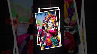 Sri Sri Radha Vrindavanchandra Beutiful Darshan #ISKCONNVCC #Shorts #ytshorts #shortvideo