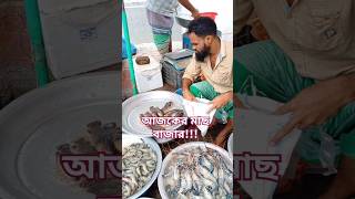 কি কি মাছ কিনলাম?Fresh fish everyday /#viralvideo