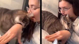 Woman surprises the cat by biting