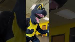 Spiro is Pumped for the Fall Semester at USM! #university #college #shorts