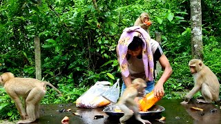 Evening video September 2 23 small dinner for kids after rain