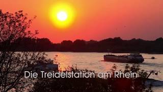 Die Treidelstation am Rhein /