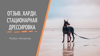 Отзыв. Стационарная дрессировка. Харди | Радик Аксанов