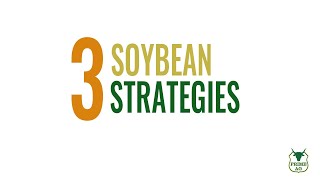 Soybean Weather Market | 3 Strategies