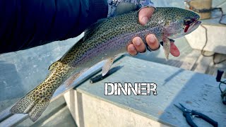 RAINBOW TROUT | CATCH and COOK