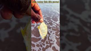 Sea water fish life saved #arcade #fishing #fish #viralvideo #respect