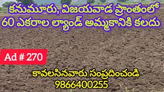 60 Acres Land For Sale in Vijayawada, Kanumuru | కనుమూరు || Amaravathi || 9866400255