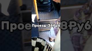 Живу 24 часа на 0 РУБЛЕЙ? #Реки #ДоКонца #Закупка #ЖИЗА #Хочуврек #shorts