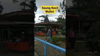 Saung Kecil Walini WA 0813-2373-9973