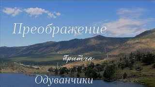 Притча. Одуванчики