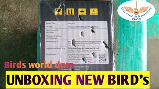 New Birds Unboxing video//channel update//birds world dpm🐦🦜🦜🐦🐦🦜🦜🐥🐥🐥🐥