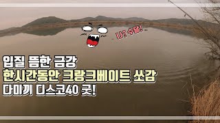 입질 뜸한 금강에서 한시간 동안 다미끼 디스코40 크랑크베이트를 감아보았습니다.