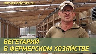 Йорг Дусс показал вегетарий в деревне, в которую могут приезжать жить и работать бездомные люди