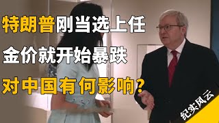 特朗普刚当选上任，金价就开始暴跌，对中国有何影响？#许知远 #纪实风云 #纪录片