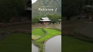 Rice fields of Nowkot village, Leepa Valley, Pakistan #Beautyofpakistan1