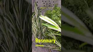 Amazing health benefits of the common rosemary! See description.