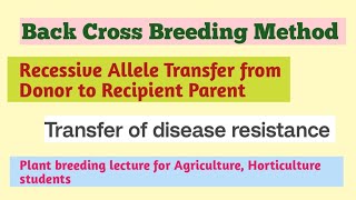 back Cross Breeding method for recessive gene transfer in hindi