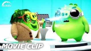 THE ANGRY BIRDS MOVIE 2 Movie Clip "Invisi-Spray" (2019) HD | Mixfinity International