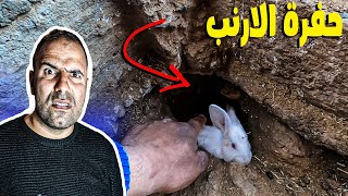 كيف امنع الارنب من الحفر🐰/مرض المعزة فلة بالاسهال🦌/تحضير بيت الولادة