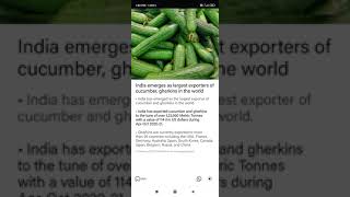 India emerges as largest exporters of cucumber, gherkins in the world