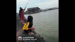 wes suwi ora mancing...mancing bandeng