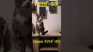 уроки КУНГ-ФУ