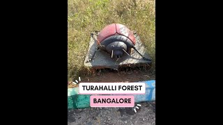 Turahalli forest bangalore | turahalli tree park #nature  #forest  #greenery  #trees  #plants