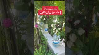 عند موتي لن اقلق ....