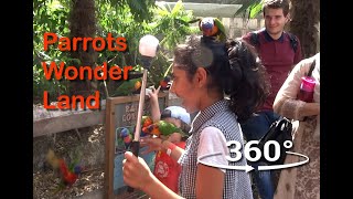 🆅🆁 360 Parrots Wonderland at Lorikeet Lagoon Chessington Worlds of Adventure - VR