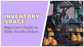 Where the heck do I put my stuff?! // Beginner's Guide to ESO