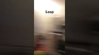 Loop