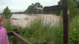 river otter flooded