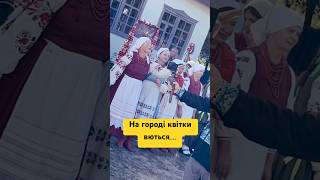 На городі квітки вються... Гуляю Я.#ahorts #music #song #ukraine