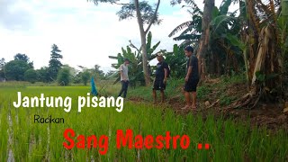 Masak jantung pisang dengan racikan sang maestro