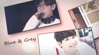 Blue & Grey (BTS) fmv