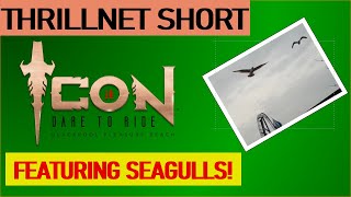 Seagulls WANT To Ride UK Roller Coaster! | #Shorts