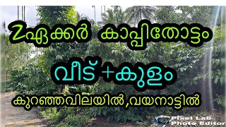 2ഏക്കർകാപ്പിതോട്ടം+വീട്+കുളം കുറഞ്ഞവിലയിൽ #low price land fore sale with house in wayanad