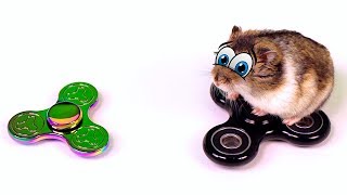 Fidget Spinner Challenge! РЕАКЦИЯ НА СПИННЕР ХОМЯК ИГРАЕТ Фиджет Спиннер Челлендж