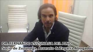 Dr. Fernando Zuzunaga del Pino - Derecho & Sociedad N° 43