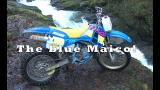 1993 Maico 500 Rides Again!